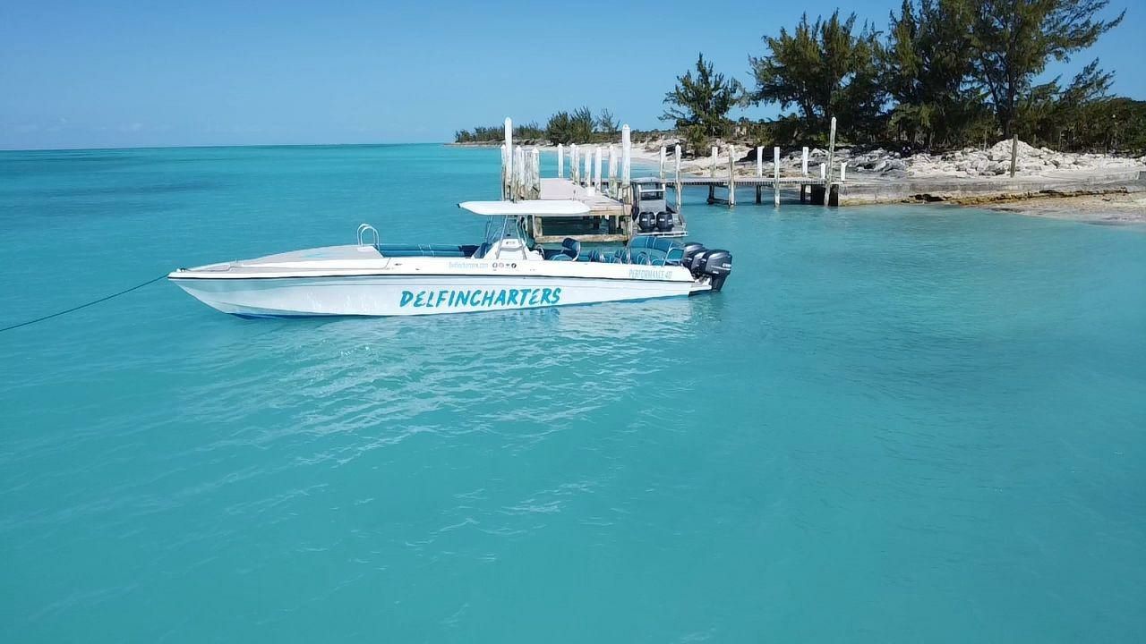 Performance 40 | The Governor