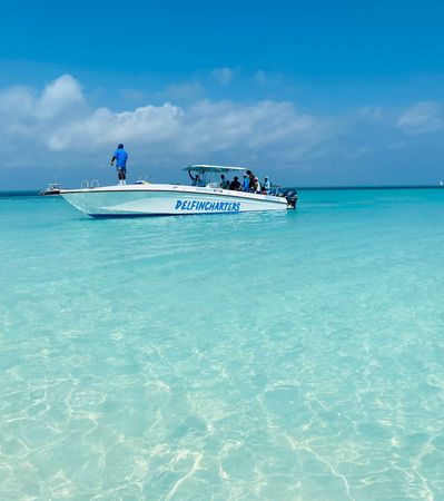 Performance 40 | The Governor