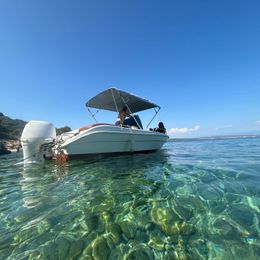 Coverline Pescosa 5.50 | Beast