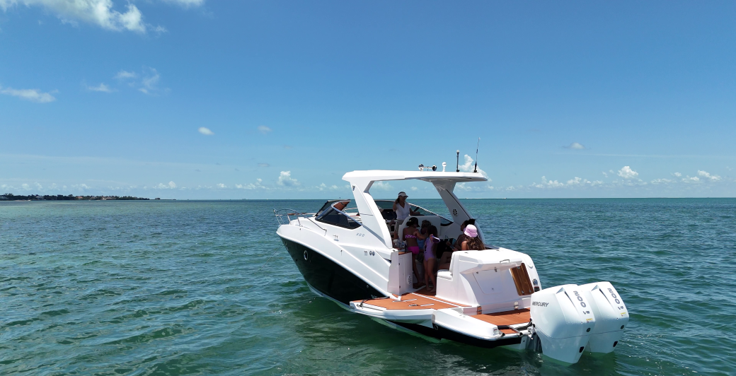 Ventura V300 | Daycruiser