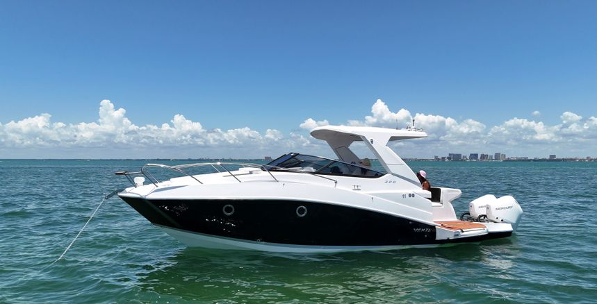 Ventura V300 | Daycruiser