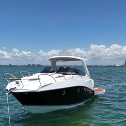 Ventura V300 | Daycruiser