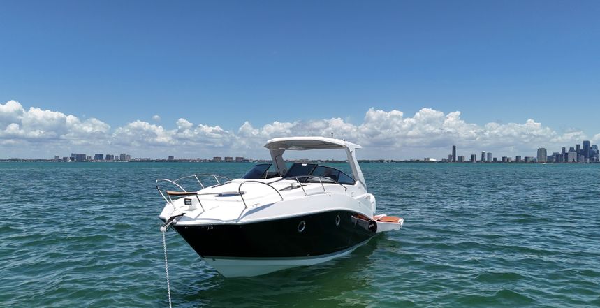 Ventura V300 | Daycruiser