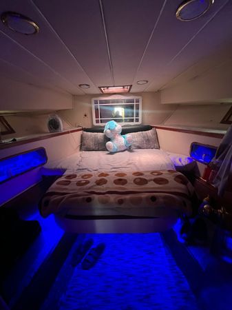 Custom Built 54 | Braveheart