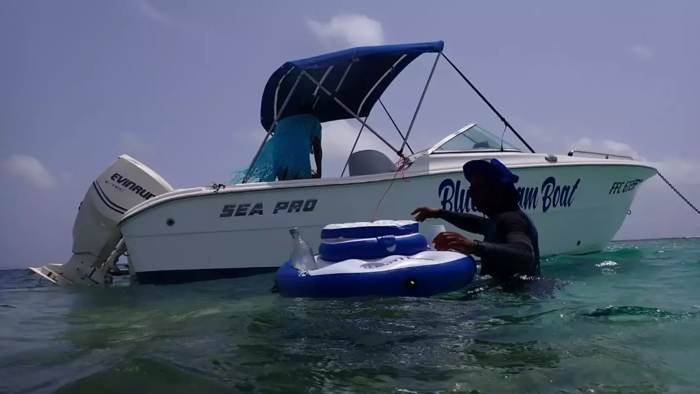 Sea Pro 206 DC | Blue Dream