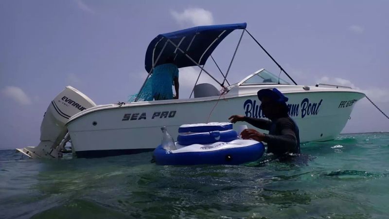 Sea Pro 206 DC | Blue Dream