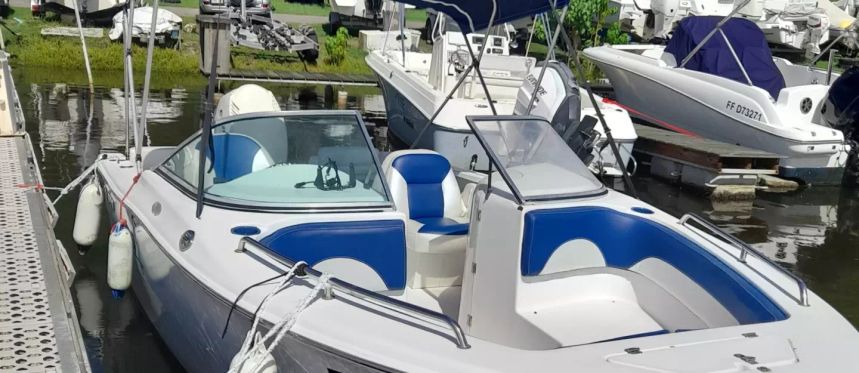 Sea Pro 206 DC | Blue Dream