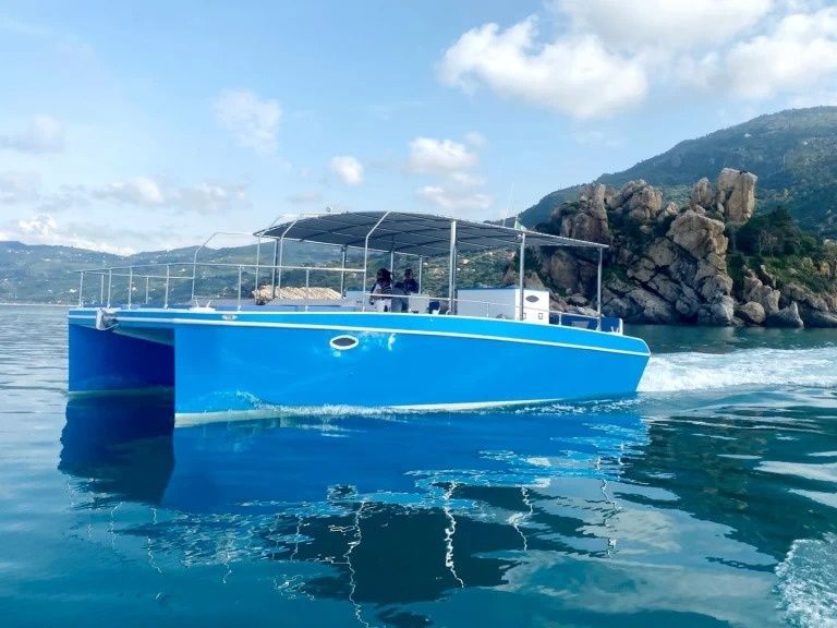 Custom Built 30 | Easy Cat