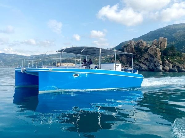 Custom Built 30 | Easy Cat