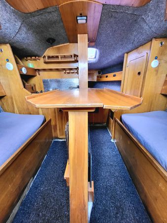 Sasanka 620 | Brydzia