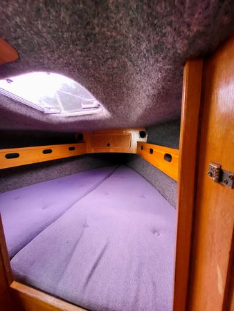 Sasanka 620 | Brydzia