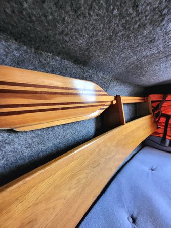 Sasanka 620 | Brydzia