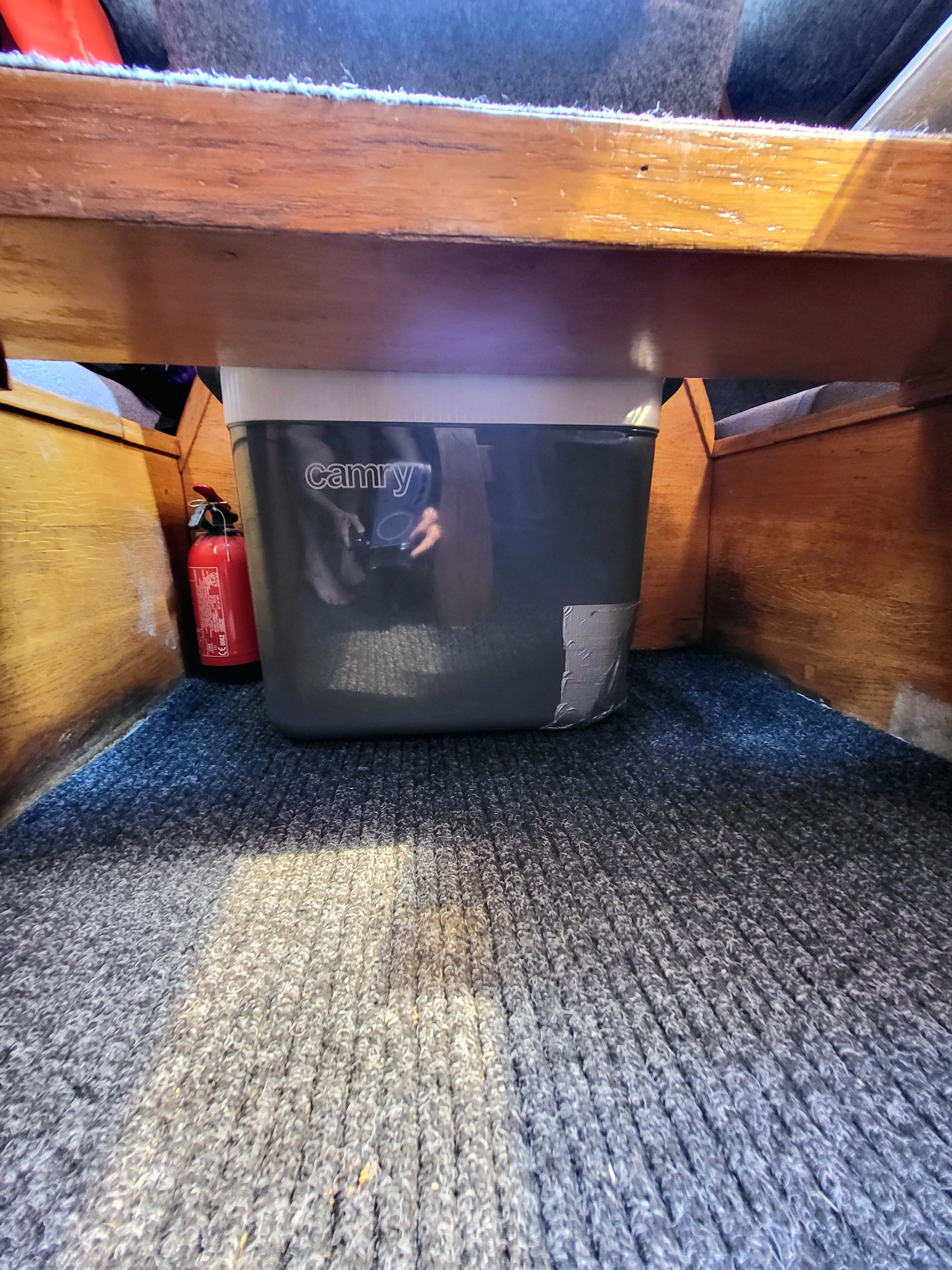 Sasanka 620 | Brydzia