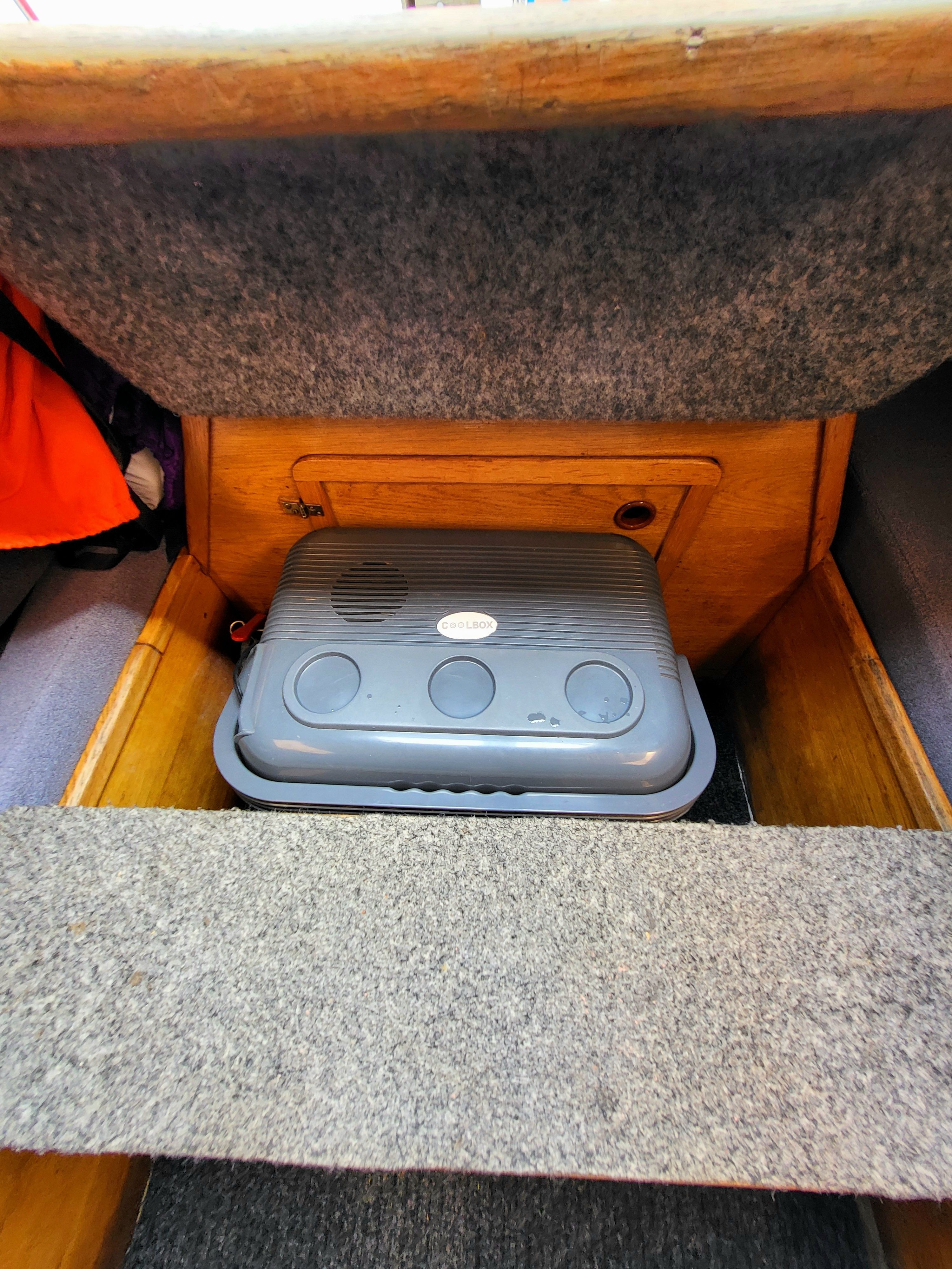 Sasanka 620 | Brydzia