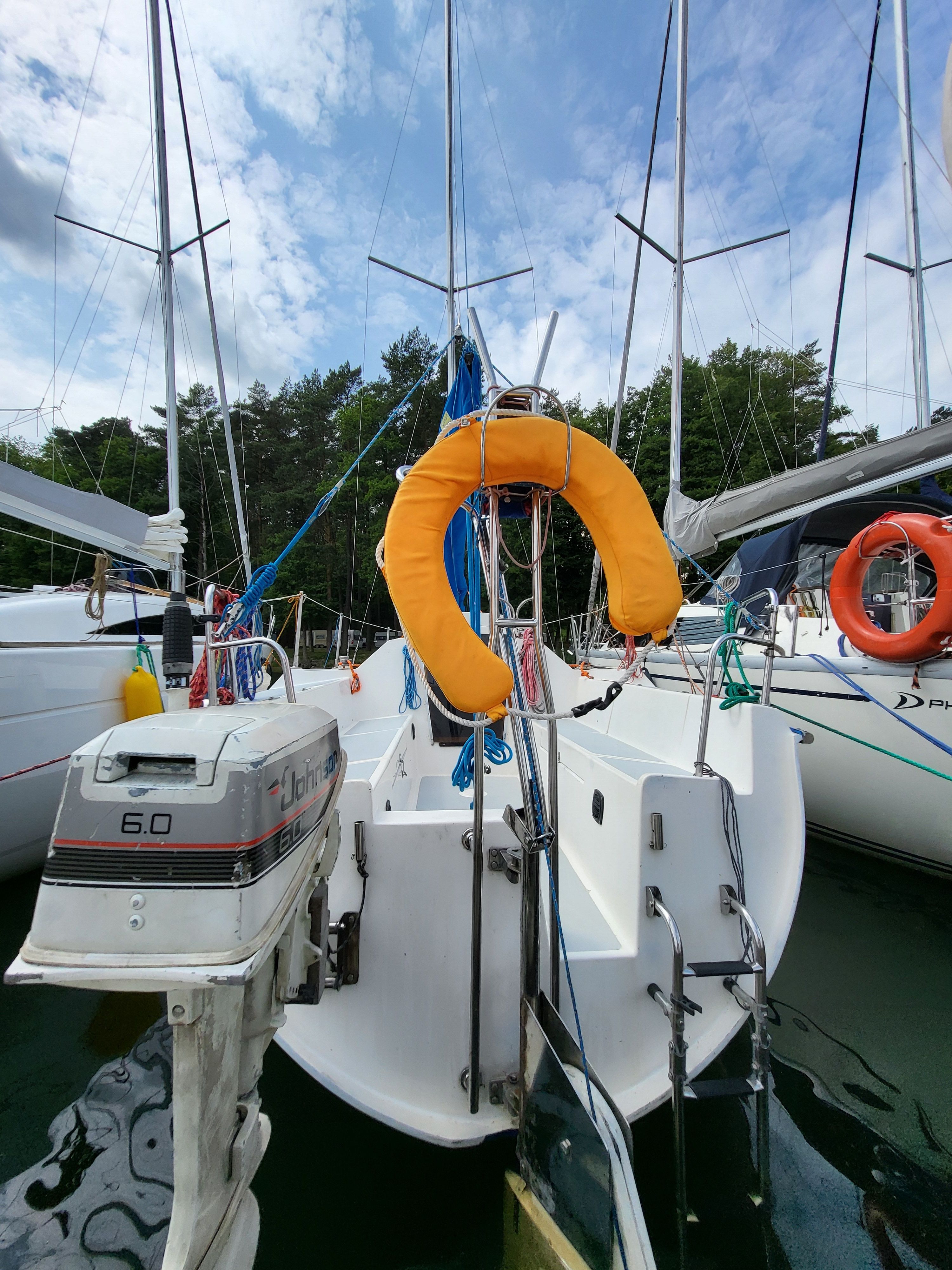 Sasanka 620 | Brydzia