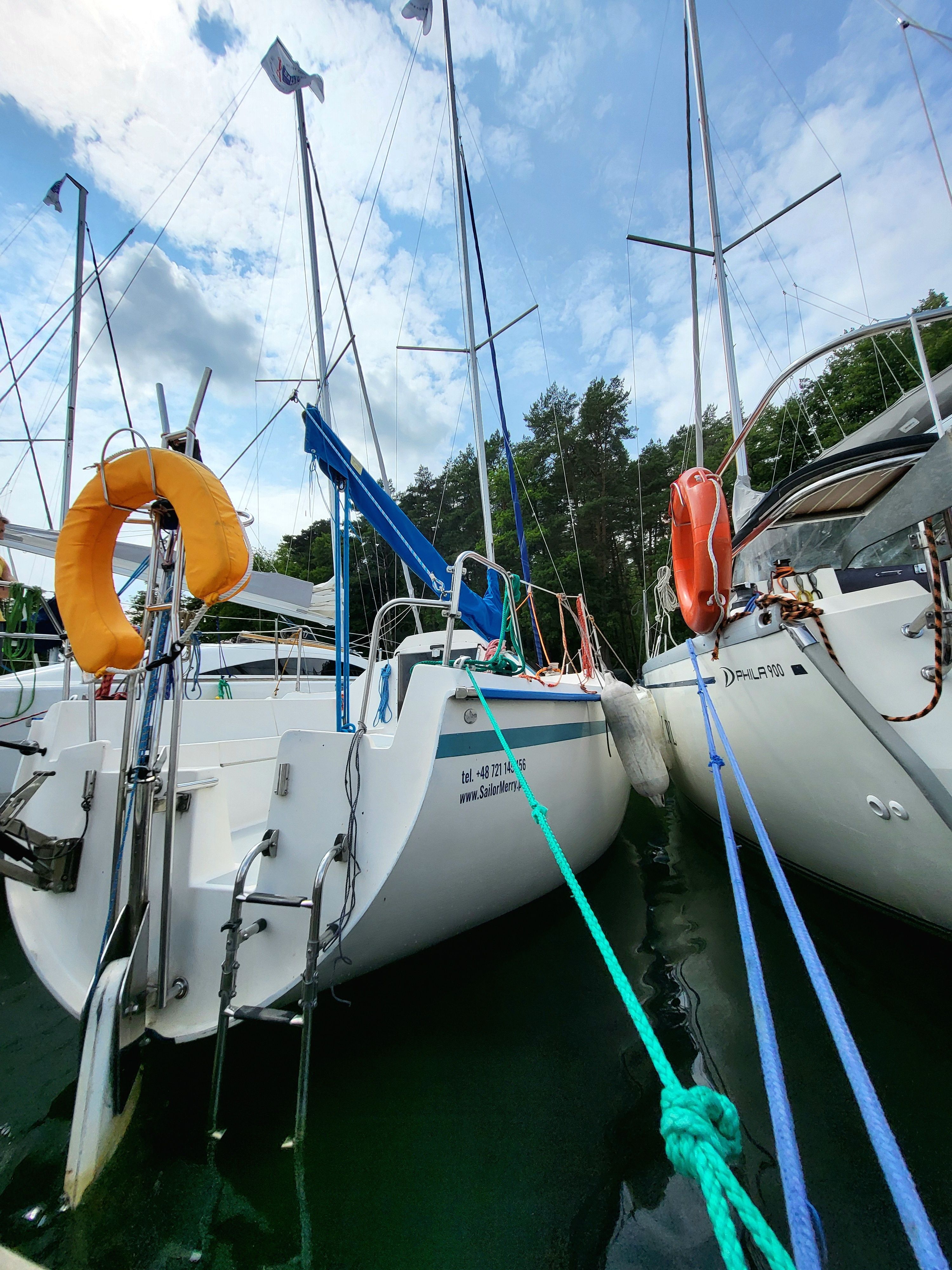 Sasanka 620 | Brydzia