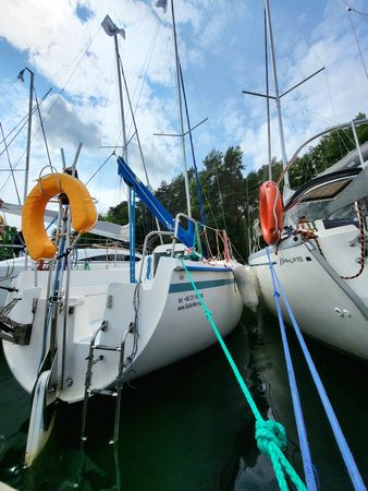 Sasanka 620 | Brydzia