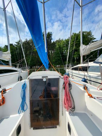 Sasanka 620 | Brydzia