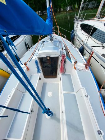 Sasanka 620 | Brydzia