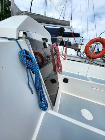 Sasanka 620 | Brydzia