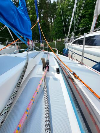 Sasanka 620 | Brydzia