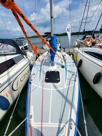 Sasanka 620 | Brydzia