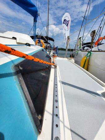 Sasanka 620 | Brydzia