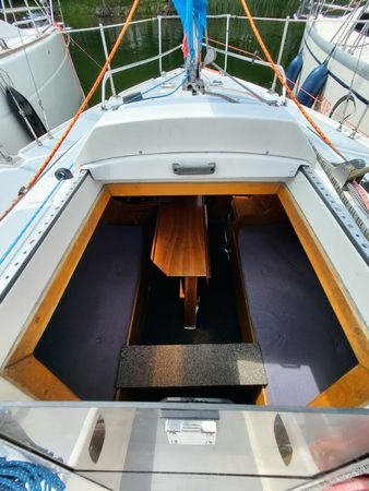 Sasanka 620 | Brydzia