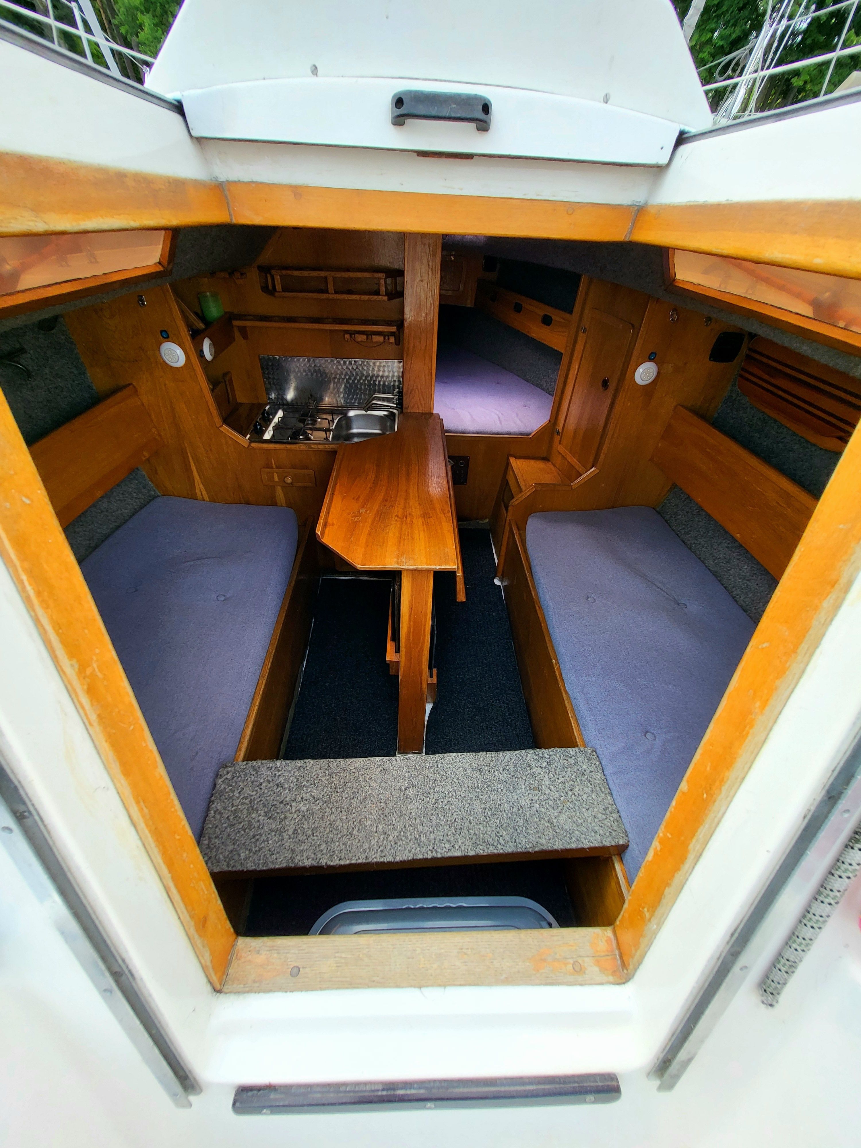 Sasanka 620 | Brydzia