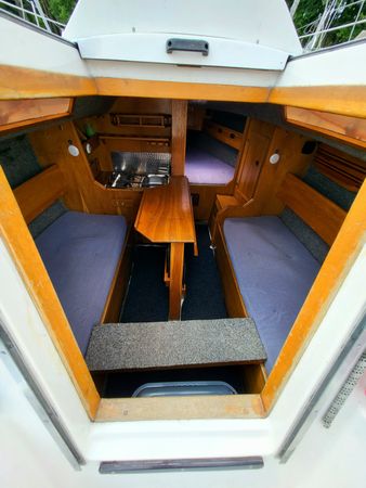 Sasanka 620 | Brydzia