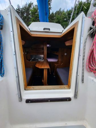 Sasanka 620 | Brydzia