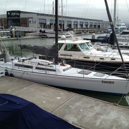 Santa Cruz 50 | Yukon Jack