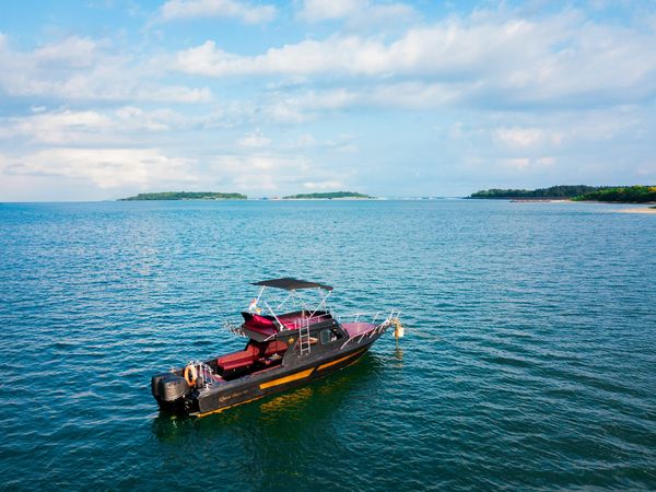 Custom Built 31 | Queen Ruizi 10