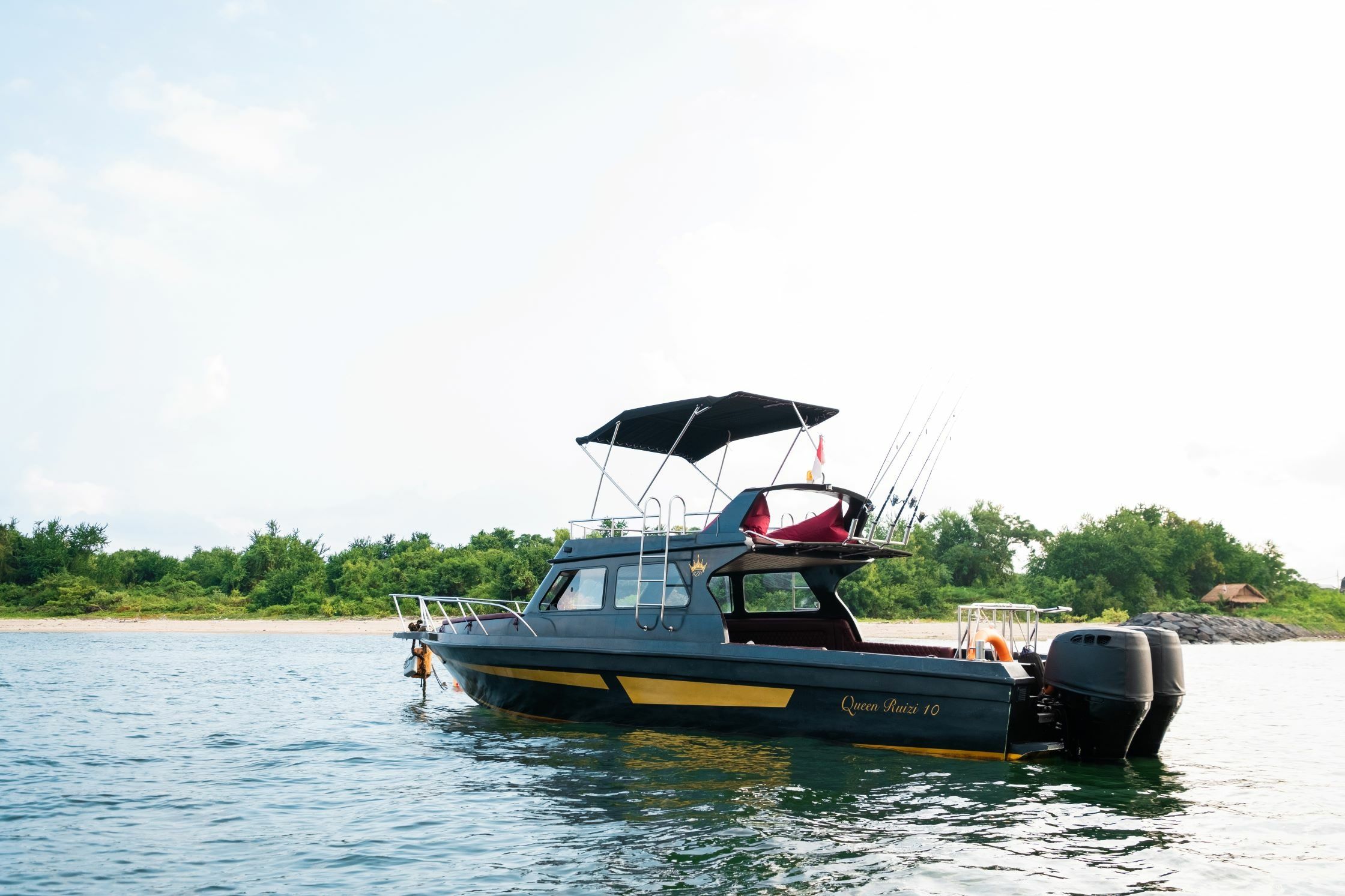 Custom Built 31 | Queen Ruizi 10