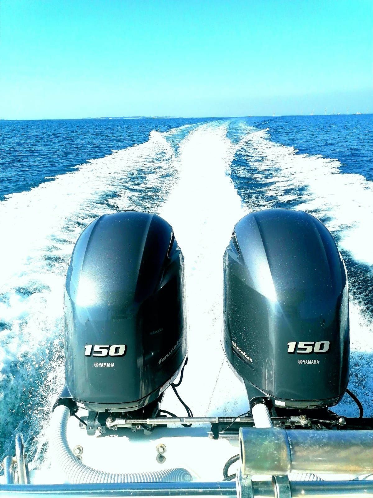Boston Whaler 29 | Silvia