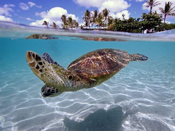 Lagoon 380 S2 | Keshi