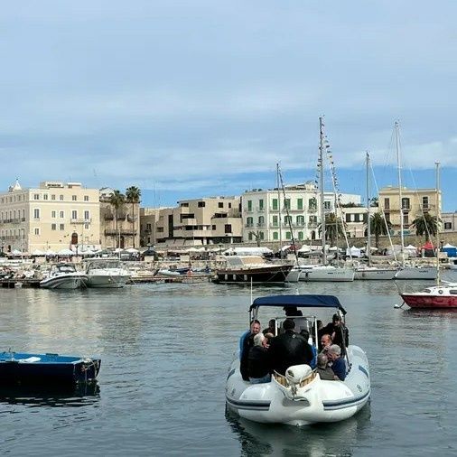 Novamarine 667 | Valentina