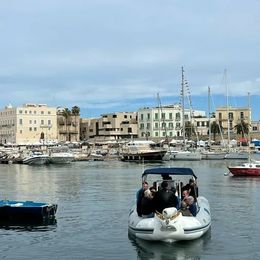 Novamarine 667 | Valentina