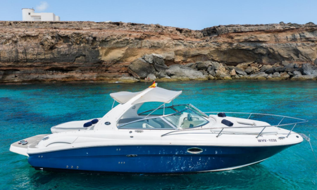 Sea Ray 295 | Infinity