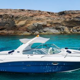 Sea Ray 295 | Infinity