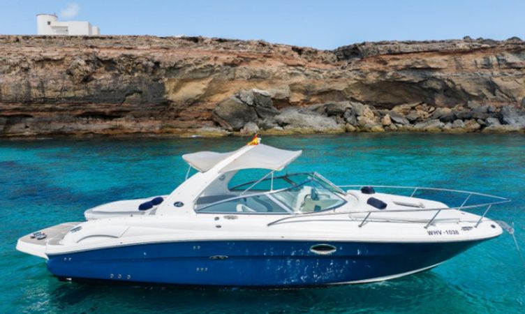 Sea Ray 295 | Infinity