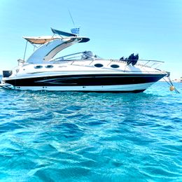 Glastron G5 289 | Elena