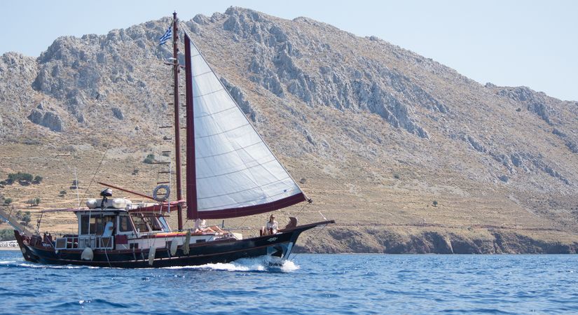 Custom Built 40 | Alma Libre