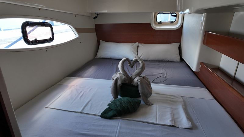 Leopard 39 | Daydream