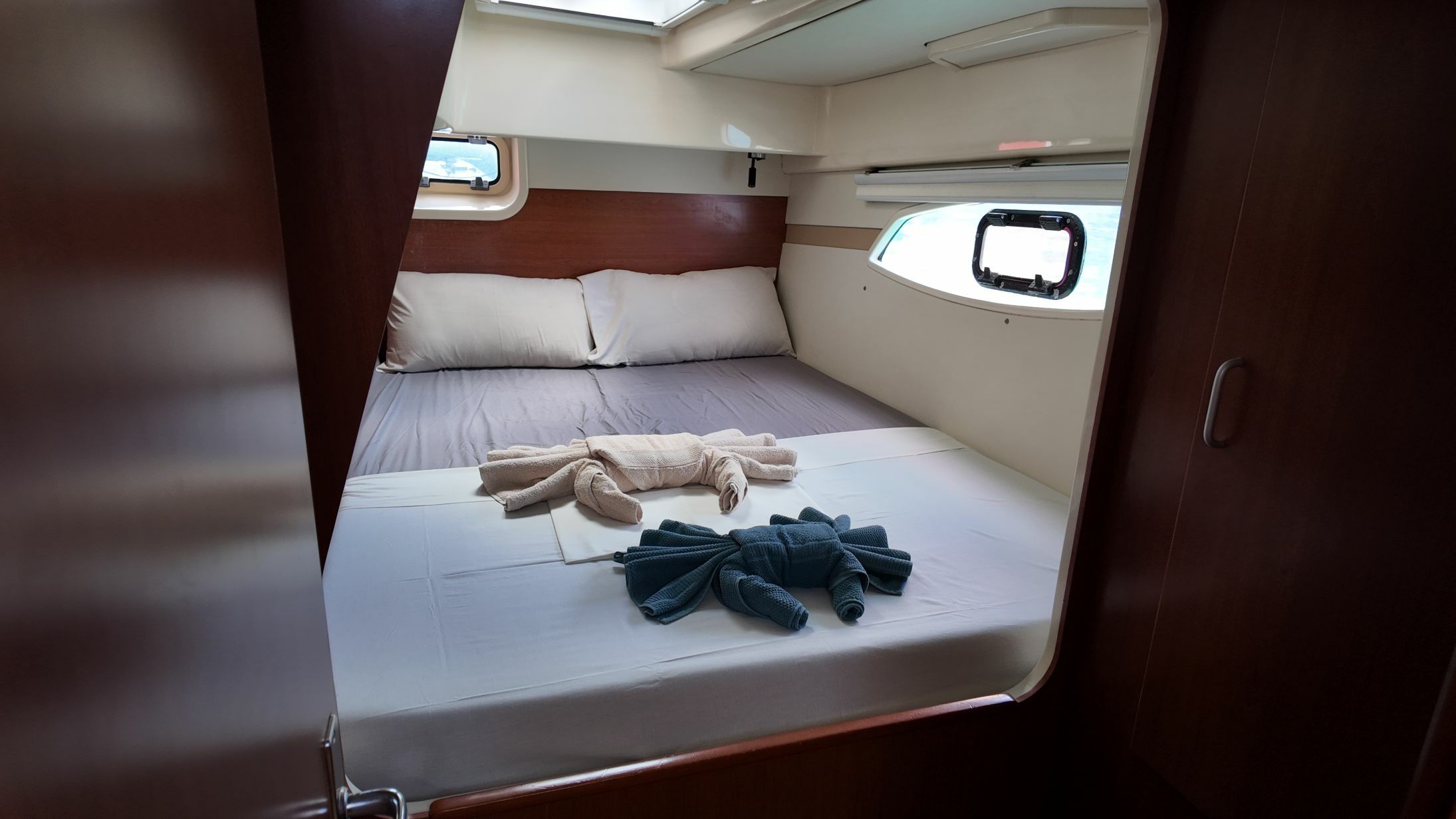 Leopard 39 | Daydream