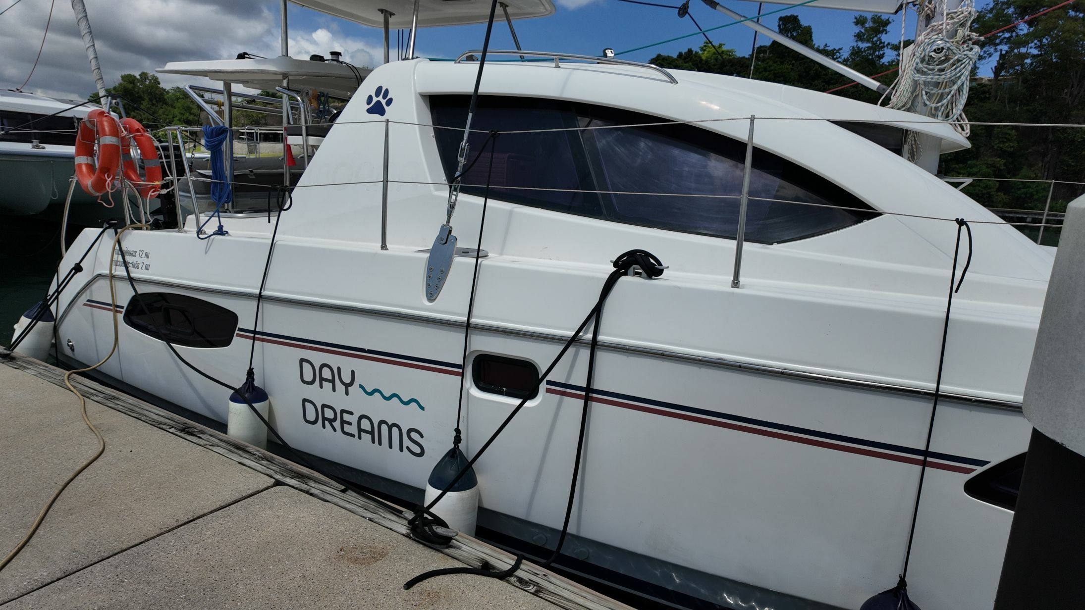 Leopard 39 | Daydream