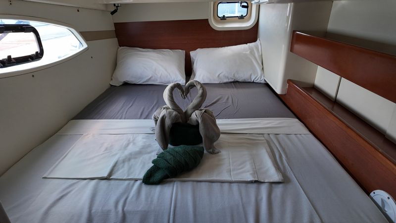Leopard 39 | Daydream