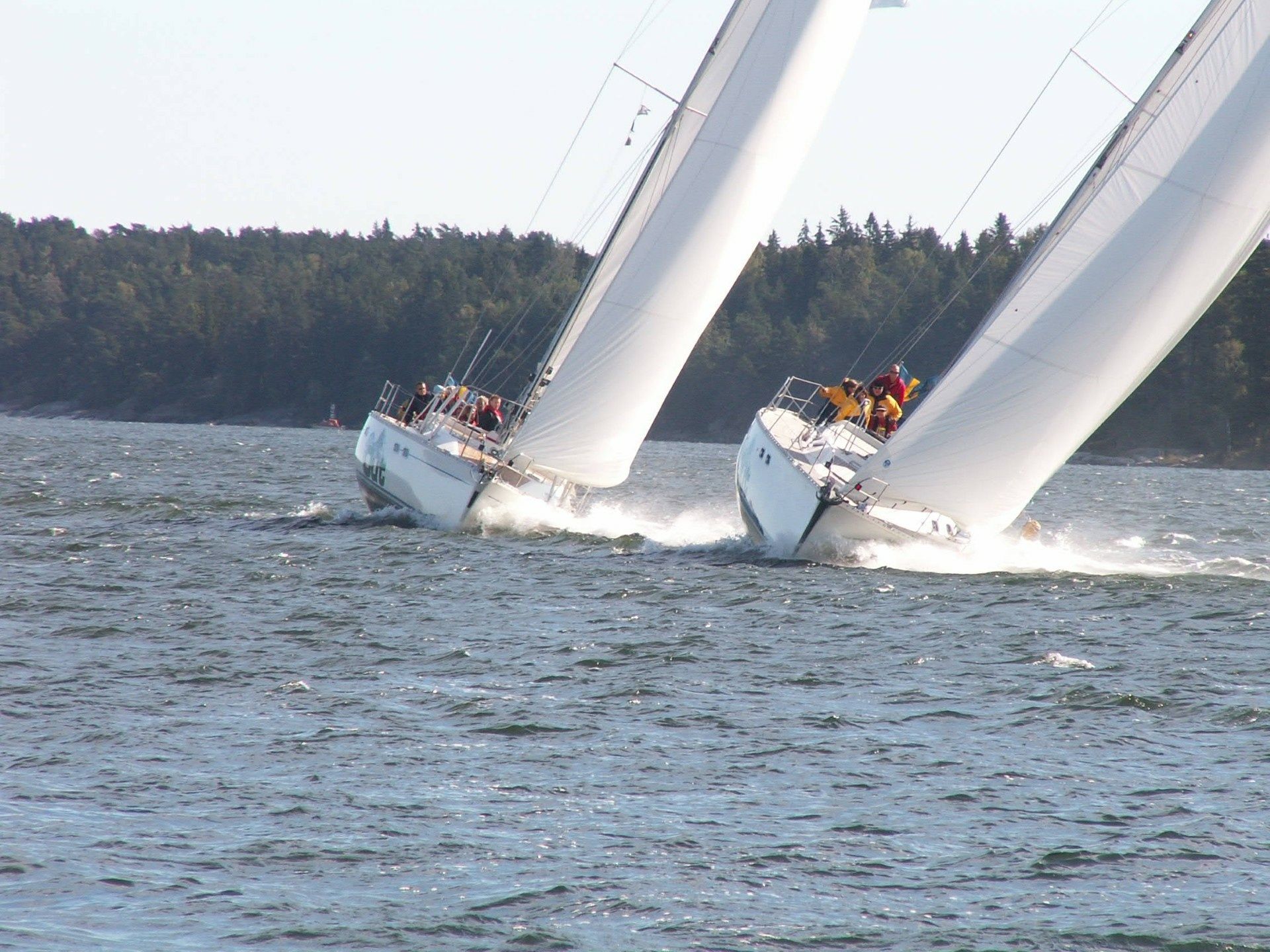 Jeanneau 51 | Log Out