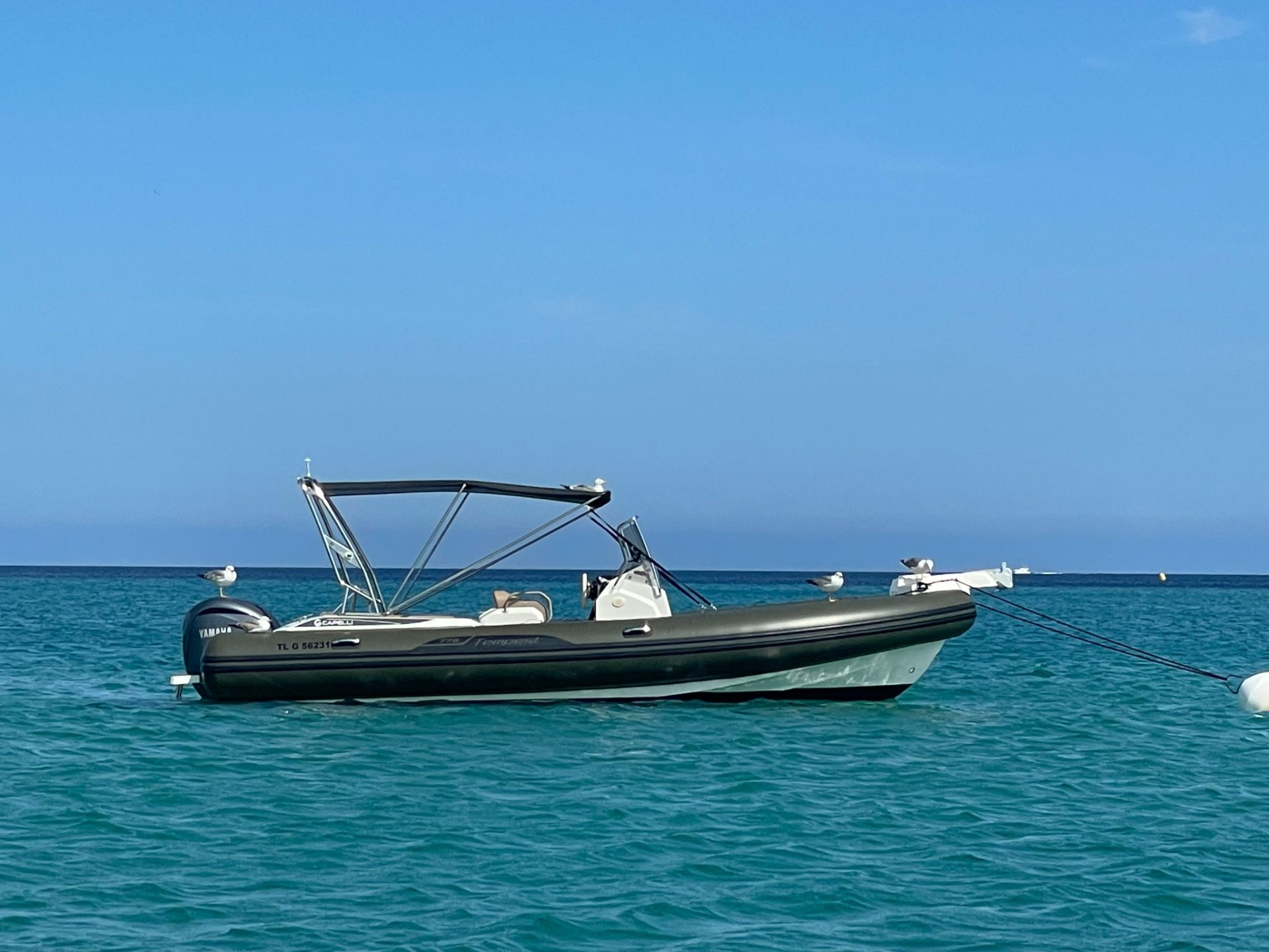 Capelli Tempest 775 | Babou