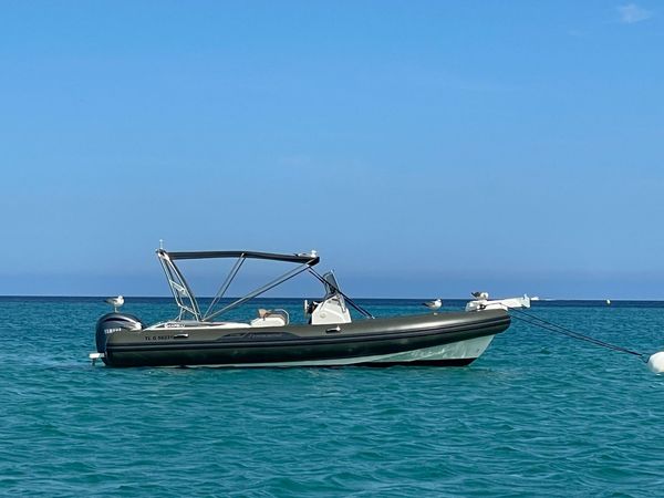 Capelli Tempest 775 | Babou